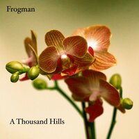 Moving On - Frogman