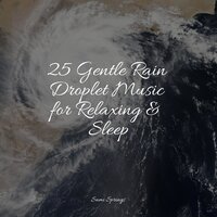 Sidewalk Rain - The Relaxing Sounds of Swedish Nature & Rain Sound Plus & Meditação Yoga