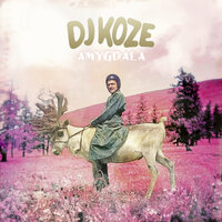 Nices Wölkchen - DJ Koze & Apparat