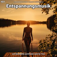 Entspannungsmusik pt. 3 - Entspannungsmusik Lino Gangels & Schlafmusik & Entspannungsmusik