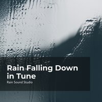 Musical Flow of Rain - The Rain Library & Rain Sound Studio & Meditation Rain Sounds