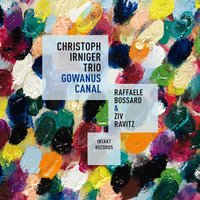 Hello Africa (for Luca) - Ziv Ravitz & Raffaele Bossard & Christoph Irniger Trio