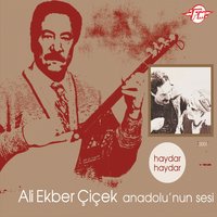 Deli misin (Deli miyim Divane mi) - Ali Ekber Çiçek