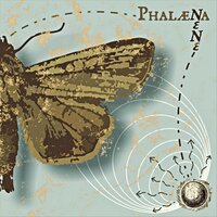 Phalæna - Nené