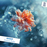 Frozen Echo - DavDeep