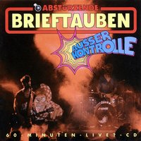 Ich will nicht nach Hause - Abstürzende Brieftauben