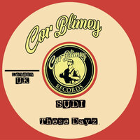 These Dayz - Sudi
