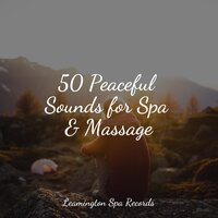 Sleep Well - Sounds Of Nature Relaxation & Nature Noise & Rainforest
