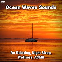 Ocean Waves Sounds Pt. 50 - Beach Sounds & Nature Sounds & Ocean Sounds