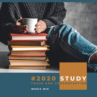 Soothing Sounds - Study Music Guys & Deep Focus