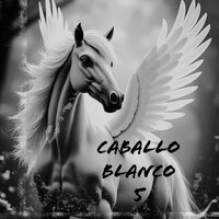 Caballo blanco 5 - Cristian