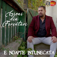 E NOAPTE INTUNECATA - Gioni Din Ferentari