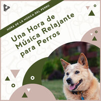 Sonidos suaves en la playa - Hora de la Música del Perro & Música Relajante para Perros & Música Calmante para Cachorros