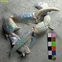 Let You Know - Flume & London Grammar