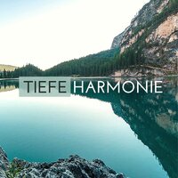 Schlaf Entspannungsmusik - Harmonie Zen