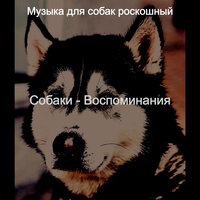 Атмосфера (Милые Собаки) - Музыка для собак роскошный