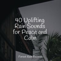 Thunder Rain - Studying Music & Relaxing Rain Sounds & Binaural Beats