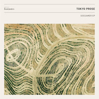 Lights Down Low - Tokyo Prose & Satl