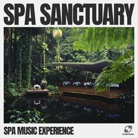 Spa Relaxation - Spa Music Experience