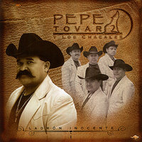 La Mentira de Tu Amor - Pepe Tovar Y Los Chacales