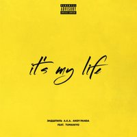 It's My Life - Эндшпиль & TumaniYO