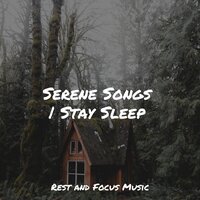 Serene Meadows - Studying Music & Kinderlieder-Superstar & Alpha Brain Waves