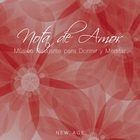 Fe - Nirvana Meditation School Master