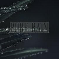 Chilling Droplets - Wp Sounds