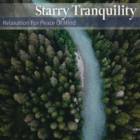 Free Up Your Mind - Starry Tranquility