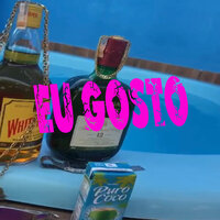 Eu Gosto - Dj Kevin Maiia o canalha & mc Gordynhoo