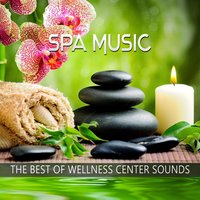 Soothe Your Soul and Body - Sensual Massage to Aromatherapy Universe