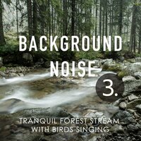 Tranquil Forest Stream with Birds Singing, Pt. 15 - Thomas O'Reilly