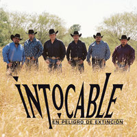 Cómo Se Fue Ella - Intocable