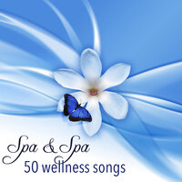 Third Eye Chakra Activation - Wellness Factor 25