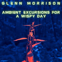 Controlled Randomization - Glenn Morrison