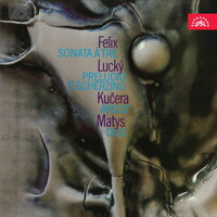 Preludio e scherzino for Bass Clarinet: I. Preludio - Josef Horak