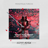 What You Want - Monoteq & Toricos
