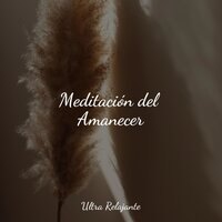 Las Estrellas Se Alinean - Relajante Música de Piano Oasis & Sons da natureza HD & Musica para Dormir 101