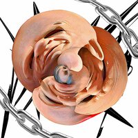 Venlafaxin - yohiyahi