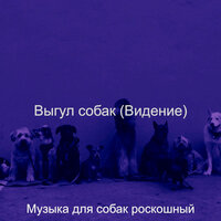 Созерцая (Выгул собак) - Музыка для собак роскошный