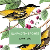Шарлотта Бронте. «Джейн Эйр». Часть 34 - Надежда Винокурова