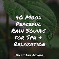 Under Shelter Strong Rains - Ambient Nature White Noise & Calm Down & Lullabies for Deep Meditation