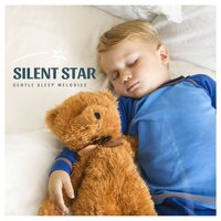 Sleep Aid - Gentle Sleep Melodies