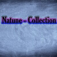 Pulse - Natune & Schneider Electric