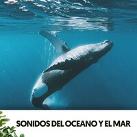 Mellow Water Lullaby - Dog Relaxation & Ocean Sounds Plus & Slow Sex Music