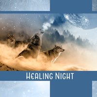 Embrace the Night - Insomnia Cure Music Society