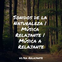 Sonidos De La Orilla - Canciones de Cuna Relax & Academia de Meditação Buddha & Sonidos de la Naturaleza para Dormir