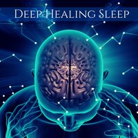 Peaceful Sounds - Calming Music Ensemble