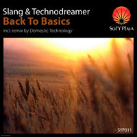 Back to Basics - SLANG & Technodreamer & Domestic Technology