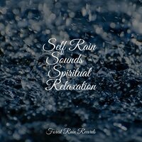 Drips in the Cavern - Nature Sounds for Sleep and Relaxation & Relaxing Mindfulness Meditation Relaxation Maestro & Yoga Soul